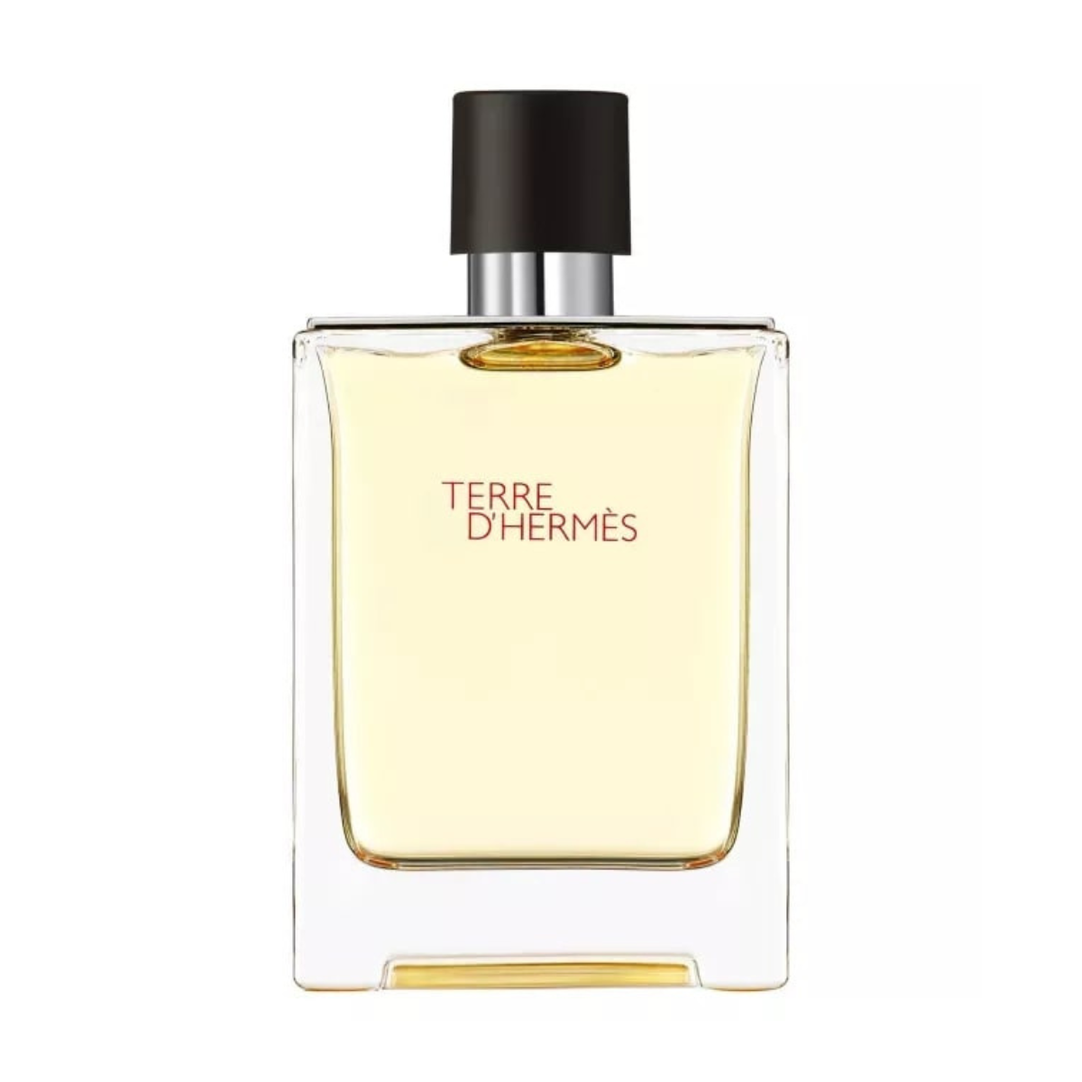 Hermes Terre D'hermes EDT 100 ml TESTERIS