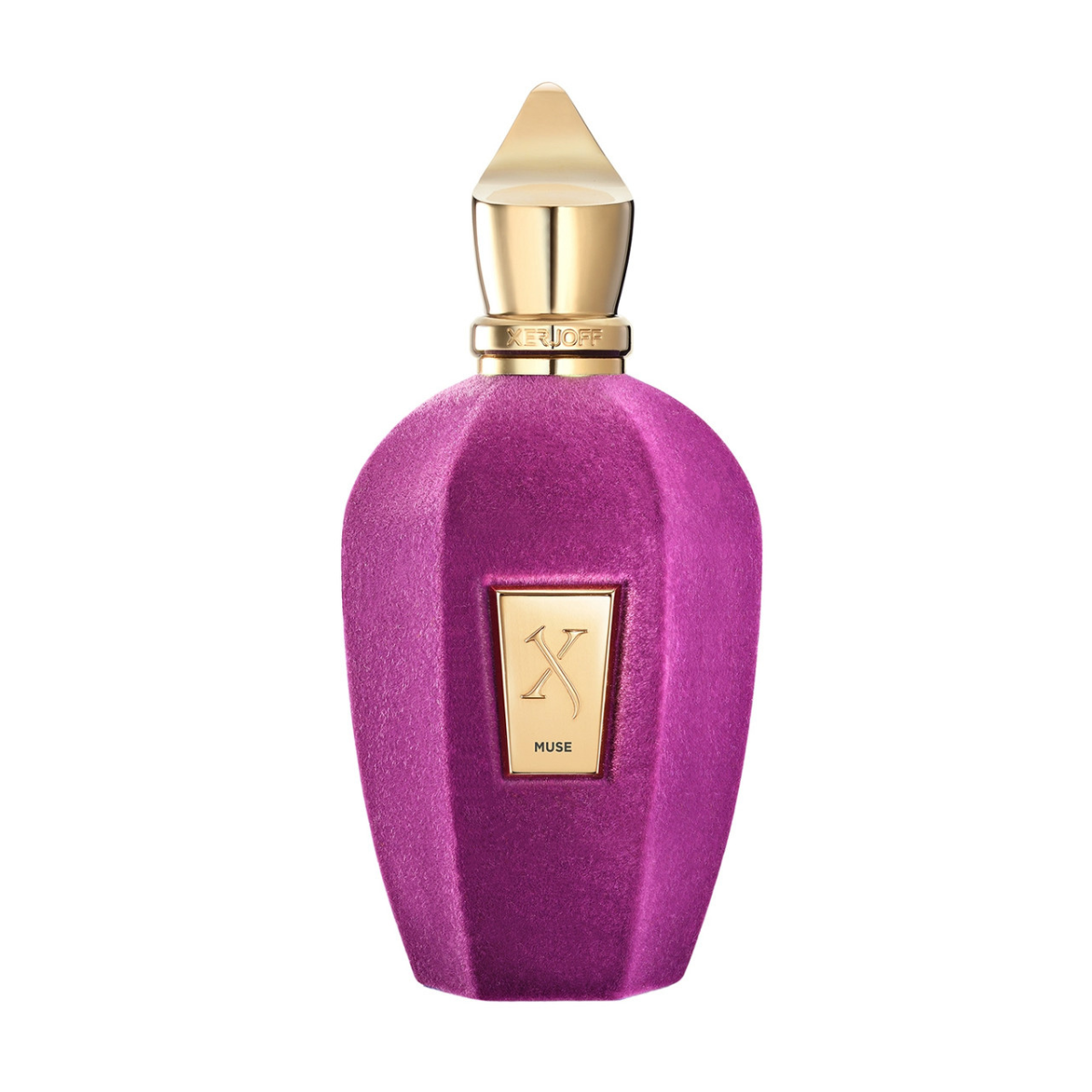 Parfimērijas ūdens Xerjoff Muse EDP 100 ml